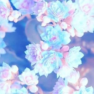 Meet your Posher, Gabrielle